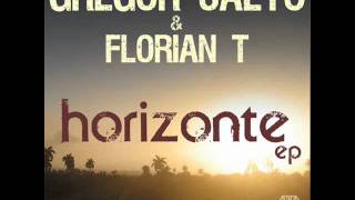 Gregor Salto and Florian T  Horizonte GS straight mix [upl. by Anselma]