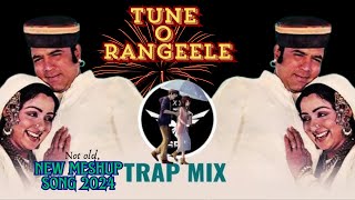 TUNE O RANGEELE X KAH DUN TUMHE MixSong OldSongDjRemix AnvikaDixit remix meshup [upl. by Rafaello]