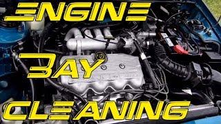 DIY Engine Bay Cleaning  How to clean your engine bay [upl. by Ailehc]