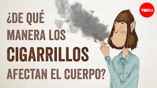 Cómo afectan los cigarrillos al cuerpo  Krishna Sudhir [upl. by Aikcir]