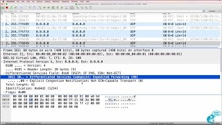 GNS3 Talks Ostinato Wireshark Captures Part 4 Generate packets with COS and DSCP settings [upl. by Eimoan598]