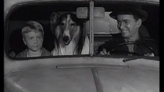 Lassie  Episode 121  quotThe Crisisquot  Season 4 18 n 01051958 [upl. by Neidhardt]