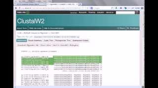 Bioinformatics practical 4 multiple sequence alignment using ClustalW [upl. by Maryjane]