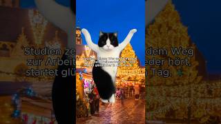 Also wenn es Studien sagen… wird nichts mehr anderes gehört 😏 weihnachten playlist shorts [upl. by Xella59]