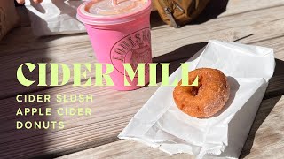 FALL Fall is here Cider Mill Time Vlog 47 [upl. by Cirded485]