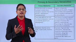 Class10th – Primary and Secondary Metabolites  Enzymes  Tutorials Point [upl. by Arlene785]