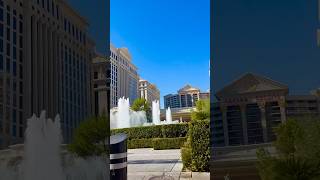 CaesarsParisThe Bellagio Vegas [upl. by Natrav974]