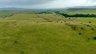 “Bronte Park” Martindale Rd Denman [upl. by Preuss]