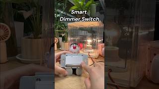 Azoula smart dimmer switch installation tutorial zigbee homeautomation diy smartswitch azoula [upl. by Oag]