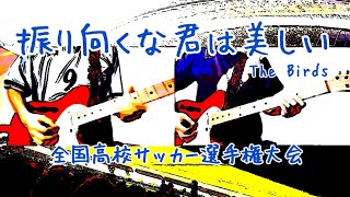 【Guitar】振り向くな君は美しい  The Birds ギター弾いてみた [upl. by Ntsud]