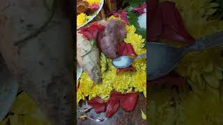 Varahi amman varahi religion devotional varahivastu god varahidevi astrology shorts [upl. by Trager]