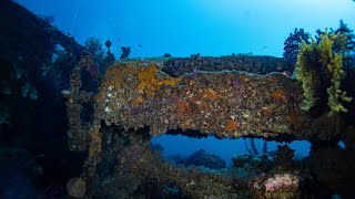 Plongée sur lépave du Donator à Porquerolles [upl. by Duff649]