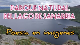 PARQUE NATURAL DEL LAGO DE SANABRIA POESÍA EN IMÁGENES lagodesanabria relaxingvideo [upl. by Enileuqkcaj]