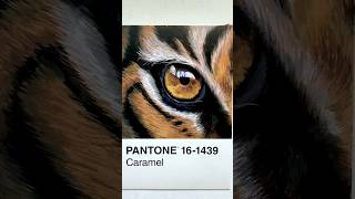 Día 39 del reto Pantone ✨️🎨  shorts art arte painting pantonechallenge pintura [upl. by Olaznog]