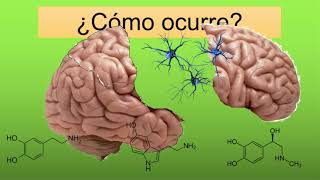 ¿Qué es la esquizofrenia ENTIENDELO DE UNA VEZ con indice [upl. by Diskson]