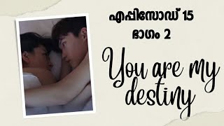 You are my destiny malayalam explanation  ep 15 [upl. by Akinek]