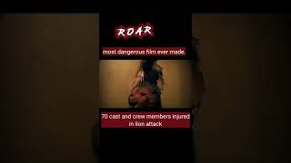 roar film 1981  most dangerous film ever made [upl. by Bunns]