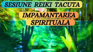 SESIUNE REIKI TACUTA  IMPAMANTAREA SPIRITUALA  741hz [upl. by Shulamith]