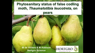 4 Phytosanitary status of false codling moth Thaumatotibia leucotreta Meyrick Lepidoptera Tortricid [upl. by Karub]