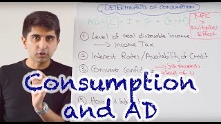 Y1 5 Consumer Spending and Aggregate Demand [upl. by Garrick533]