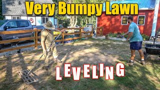 Leveling a VERY Bumpy Lawn [upl. by Chader]