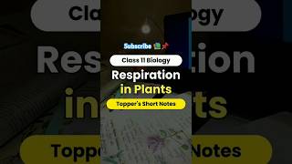 respiration in plants class 11 one shotshortsfeed neet2025 [upl. by Brodench692]