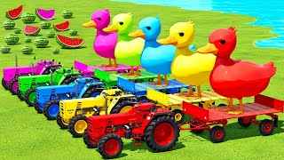 TRANSPORT DUCKS amp WATERMELONS WITH BUHRER amp CASE TRACTORS  Farming Simulator 22 [upl. by Glavin]