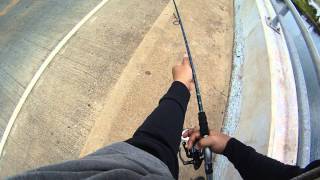 BSFO  Fishing Behind Waipahu High School Waipio Point Access Road [upl. by Ysiad]