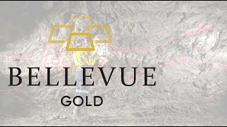 March Quarterly Report Anticipation Watchlist  Bellevue Gold [upl. by Files]