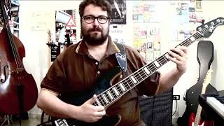 Slap Bass Lesson  D7 SLAP GROOVE [upl. by Cara]