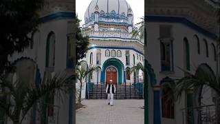 Labbaik Ya Rasool Allah Dargah Maulvi Abdul Rab Habibi Dungarpur Moradabad 🕋🌹🧕🌹wviral shortvideo [upl. by Irafat976]