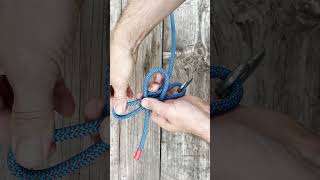 Secret node Very easy to untie How to quickly tie it with your own hands Quick release knots [upl. by Geneva709]