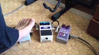 MASF Pedals RAPTIO GlitchHold [upl. by Suraved]