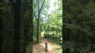 Mtb 5 foot drop mtb hardtailmtb downhill [upl. by Kramal]