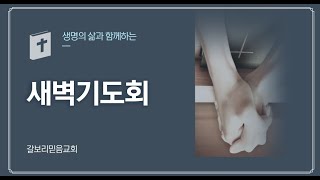 갈보리믿음교회 2024년 11월 2일 새벽 기도회  두란노 생명의 삶 교재 [upl. by Ahset]