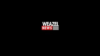 Осенняя лотерея Weazel News 2024 [upl. by Boles936]