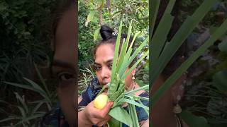 Sunday சும்மா ஒரு garden visit🍀Organic homegarden vlognaturehealthylifestyleshorts [upl. by Sheelagh277]