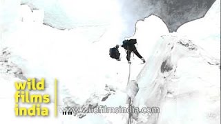 Icefall work crevasse and serac obstacles in Khumbu icefall [upl. by Ricketts275]