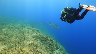 Scuba Diving in the Maltese Island of Gozo 2024 [upl. by Wiseman]