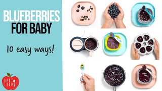 Blueberries For Baby – 10 Easy Ways [upl. by Nodle216]