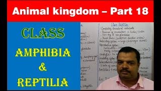 Class Amphibia amp Reptilia  Animal Kingdom  NEET Bio  Part 18 [upl. by Leiuqeze331]