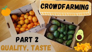 Crowdfarming Experience  Clementines Avocado Mango from Spain [upl. by Yehudit822]