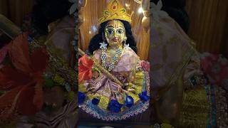 Laddu Gopal Daily Routine❤️🙏🏻❤️ shotrs susmilife laddugopal [upl. by Waverley]