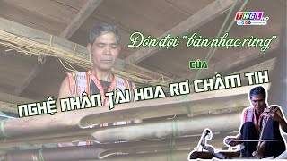 ĐÓN ĐỢI “BẢN NHẠC RỪNG” CỦA NGHỆ NHÂN TÀI HOA RƠ CHÂM TIH [upl. by Haggai]