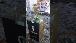 Copa del mundo en Quitilipi [upl. by Miguel]