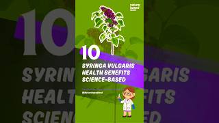 Syringa vulgaris Lilac Health Benefits ScienceBased [upl. by Coleen]