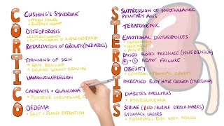 Corticosteroid Side Effects Mnemonic  What are the side effects of corticosteroids [upl. by Bunni]