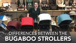 Differences Between the Bugaboo Strollers  Cameleon Donkey Buffalo Bee5  2017 Reviews [upl. by Ebeneser]