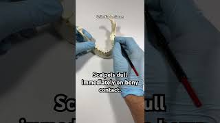 Best Practice for Scalpel Blades  OnlineExodontiacom dentaltips oralsurgery exodontia [upl. by Dorotea]