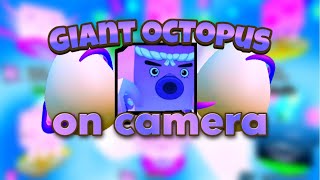 Hatching a Giant Octopus on camera Pet Rift [upl. by Christabel117]